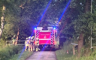 🚒 Nanu? Was macht denn die Feuerwehr im Pferdestall?! 🐴🔥