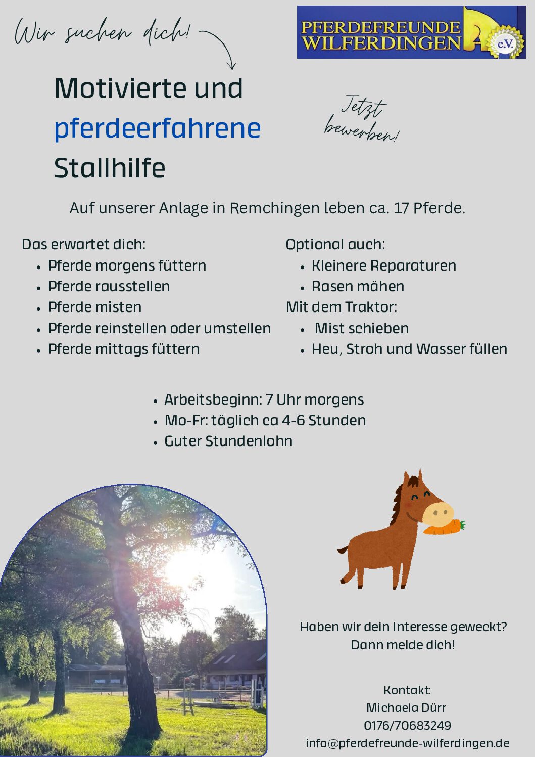 Stallhilfe gesucht